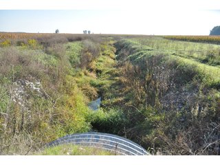 Property photo 21 - 220.9 +/- Acres Offered in 5 Tracts - Farmland Auction